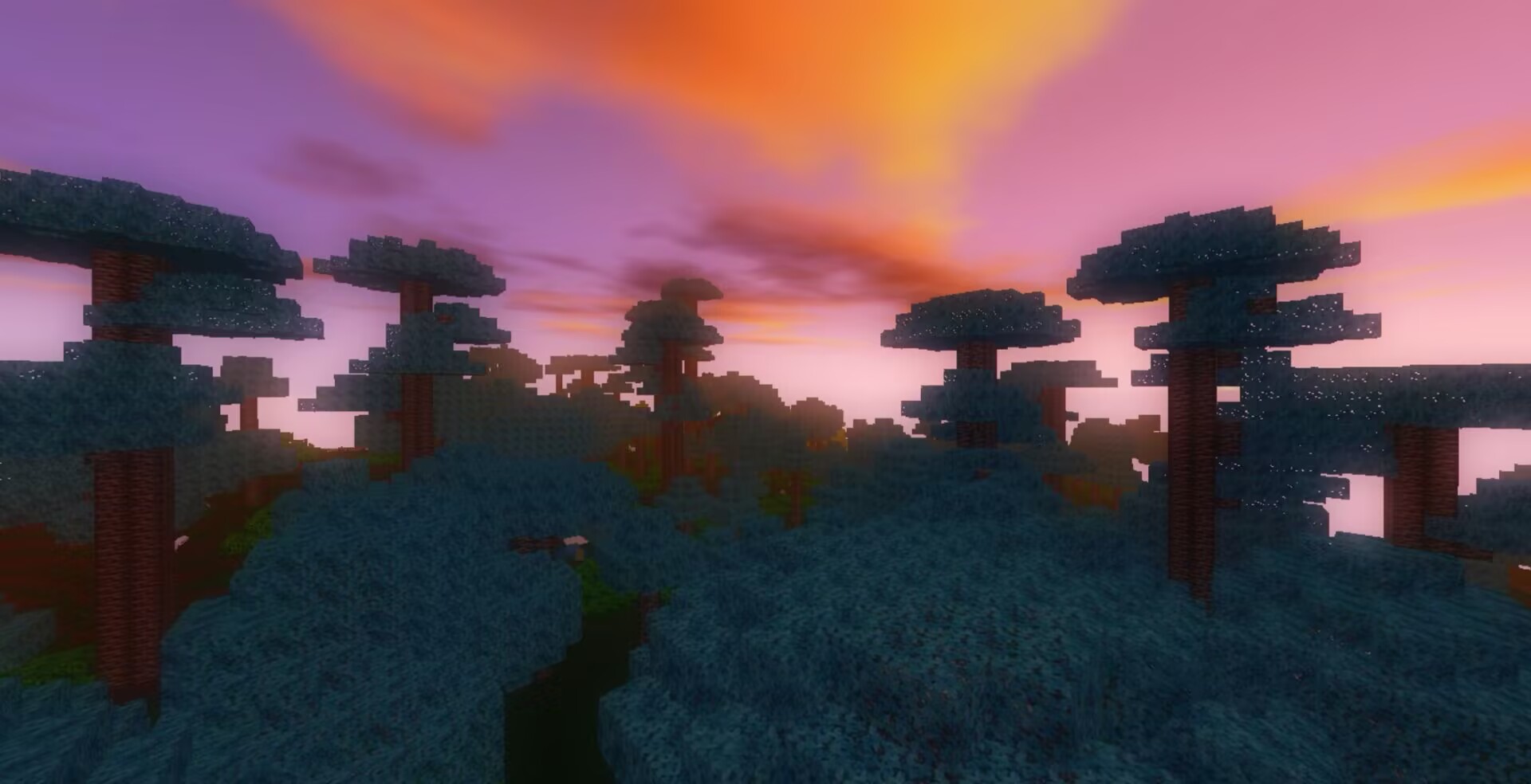 【手机】狸块世界-星辉阁